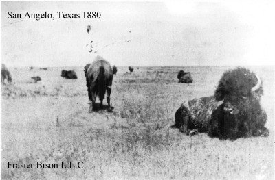 San Angelo 1880