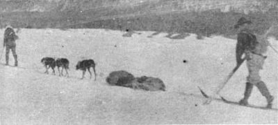 Buffalo Jones and Army Scout Holt with a captured bison calf on a sled.
