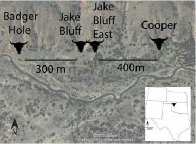 Jakes Bluff Kill Sites, Ok.