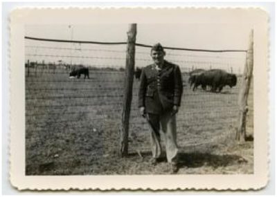 Photograph of a soldier in uniform in front of fenced in buffalo.
