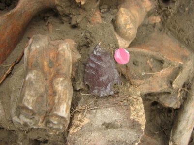 Sarpy Kill site marked by archaeologist red pin