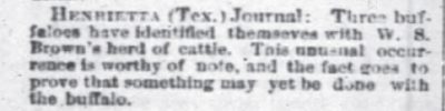The Courier Journal Louisville KY Aug 8 1878 Bison Mixed With Cattle.jpg
