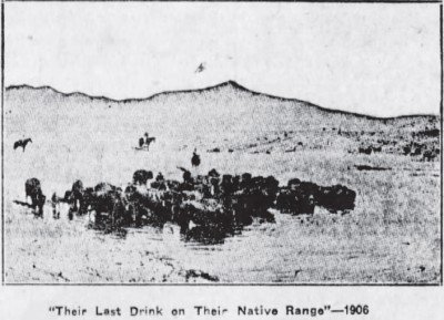 Their Last Drink The Winnipeg Tirb Dec 25 1929 pic