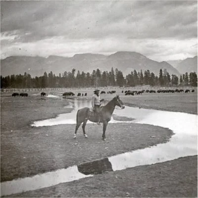 M Pablo on his famous buffalo ranch MHS
