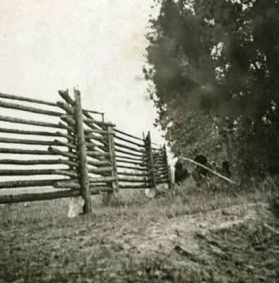 Where Forsyth lost his camera and almost his life MHS