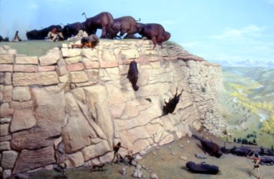 Buffalo Jump 8816885