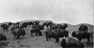 Omaha early settlers