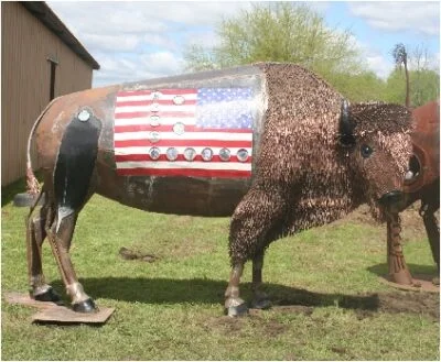 Who saved the bison? US saviors