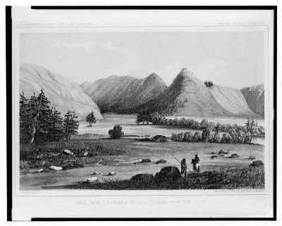 What part of the bison was used? 1855 Sarony, Major & Knapp Lith., lithographer LOC