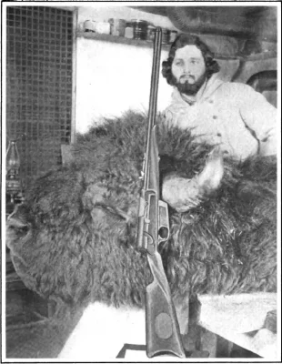 Champion Wood Bison Bull