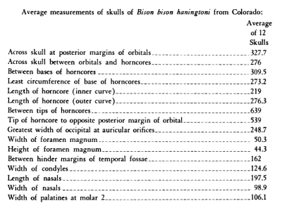 Skull measurements
