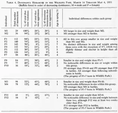 Bison Speak Dominence Hierarchy Table