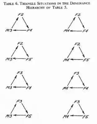 Dominence Triangle Table