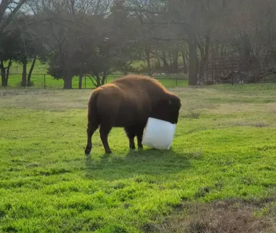 barrel toy