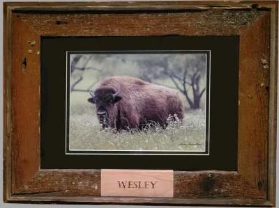 Winner Framed Print