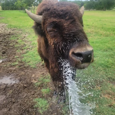 Yeah, thats the spot