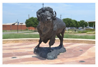 Buffalo Frontier Texas Abilene