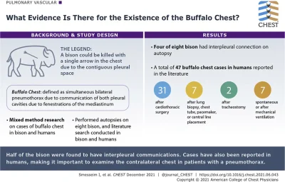 Legend of the Buffalo Chest