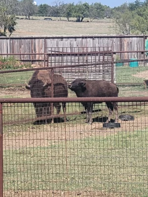 Two Easy Oct 5th