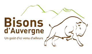 Bisons d auvergne France